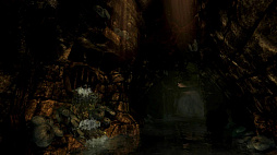 Amnesia: Collection