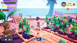 Collector's Cove