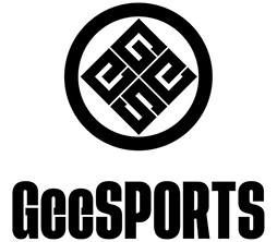 画像ギャラリー No.002のサムネイル画像 / シニアeスポーツ「GeeSports」，公式サイトを開設。加齢に伴う身体機能の低下にかかわらず楽しめるゲーム開発やイベントを通じて課題解決を目指す