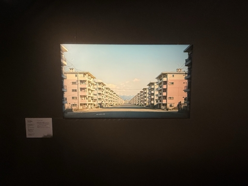 画像ギャラリー No.009のサムネイル画像 / 渋谷で「恐怖心展」開催中。人の根底にある“恐れ”に触れ，自分と他者が映し出される展示体験
