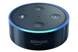 画像ギャラリー No.005のサムネイル画像 / 「Google Home」や「Amazon Echo」はゲームでも使えるもの？ ゲーマーも知っておきたい「スマートスピーカー」の今とこれから