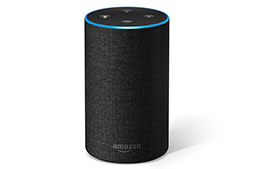 画像ギャラリー No.010のサムネイル画像 / 「Google Home」や「Amazon Echo」はゲームでも使えるもの？ ゲーマーも知っておきたい「スマートスピーカー」の今とこれから