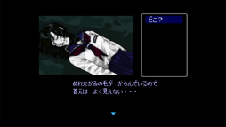 画像ギャラリー No.095のサムネイル画像 / 3DSとWii Uの「ニンテンドーeショップ」サービス終了迫る！ 今のうちに買っておくべきDLソフト「私はこれを買いました」