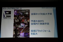 画像ギャラリー No.028のサムネイル画像 / 東京ゲームショウ2018は9月20日から23日まで開催。テーマ「新たなステージ，開幕。」などがアナウンスされた発表会をレポート