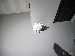画像ギャラリー No.006のサムネイル画像 / ナンジャタウン園内に新街区がオープン！　“スキ”をギュッと詰め込んだ「Hugood!街区」メディア内覧会をフォトレポート