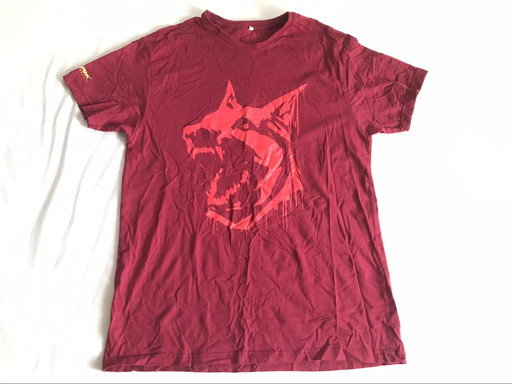 画像ギャラリー No.012のサムネイル画像 / あなたの「秘蔵のゲームTシャツ」見せてください！　4Gamerスタッフ＆ライター陣に，とっておきの一着を紹介してもらった