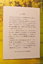 画像ギャラリー No.004のサムネイル画像 / 着ぐるみ＆衣装と見どころ満載の「にじさんじフェス展」レポート。映像や展示で思い出を振り返ろう 