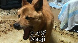 画像ギャラリー No.005のサムネイル画像 / 4Gamerはどこへ向かおうとしているのか。杉田智和さん&マフィア梶田による新番組「4Gamer TV〜突然!ブッピGAN!〜」の予告編動画をUp