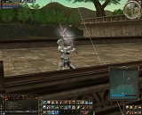 画像ギャラリー No.011のサムネイル画像 / MMORPG「リネージュII」が7日間無料で遊べる,新規会員向けの無料プレイシリアルナンバーを,応募者全員にプレゼント!