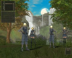 画像ギャラリー No.020のサムネイル画像 / MMORPG「リネージュII」が7日間無料で遊べる,新規会員向けの無料プレイシリアルナンバーを,応募者全員にプレゼント!
