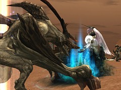 画像ギャラリー No.032のサムネイル画像 / MMORPG「リネージュII」が7日間無料で遊べる,新規会員向けの無料プレイシリアルナンバーを,応募者全員にプレゼント!
