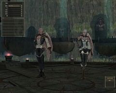 画像ギャラリー No.033のサムネイル画像 / MMORPG「リネージュII」が7日間無料で遊べる,新規会員向けの無料プレイシリアルナンバーを,応募者全員にプレゼント!