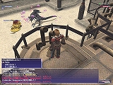 画像ギャラリー No.005のサムネイル画像 / FFXIに新コンテンツが登場! モンスター同士を戦わせる「パンクラティオン」の真髄に迫る
