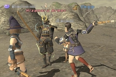 画像ギャラリー No.002のサムネイル画像 / 第8回 ヴァナ・ディール国勢調査,「FFXI」公式サイトで公開