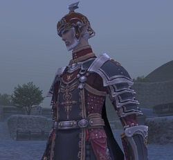 画像ギャラリー No.013のサムネイル画像 / 「FFXI」大規模アップデートを本日実施。追加シナリオ第2弾「戦慄!モグ祭りの夜」の解禁,過去世界の北国エリア実装に注目