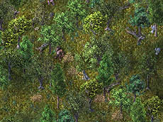 画像ギャラリー No.001のサムネイル画像 / 「UO」ゲーム内に鬼が出現する「節分でオニ退治!?」イベント実施