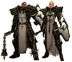 画像ギャラリー No.004のサムネイル画像 / 「Diablo III: Reaper of Souls」で追加される新クラス，「クルセイダ―」を紹介する最新トレイラー公開