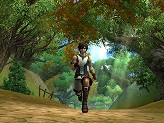 画像ギャラリー No.003のサムネイル画像 / ゲームのキモである「カードシステム」「APシステム」の紹介も。サービスインに向けて動き出した「イースオンライン」の先行プレイレポート