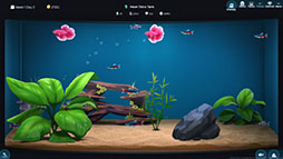 画像ギャラリー No.002のサムネイル画像 / アクアリウムショップ経営を楽しめる「The Fish Corner」,デモ版が6月12日にSteamで公開予定