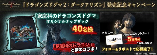 画像ギャラリー No.019のサムネイル画像 / 「ドラゴンズドグマ 2:ダークアリズン」本日発売。極北の地「ノルガン」を舞台にした物語や,希少な装備が残された12種のダンジョンが加わる