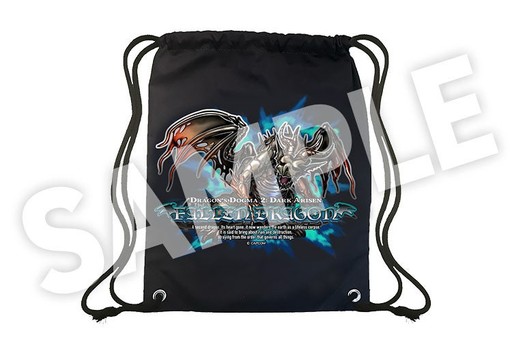画像ギャラリー No.020のサムネイル画像 / 「ドラゴンズドグマ 2:ダークアリズン」本日発売。極北の地「ノルガン」を舞台にした物語や,希少な装備が残された12種のダンジョンが加わる