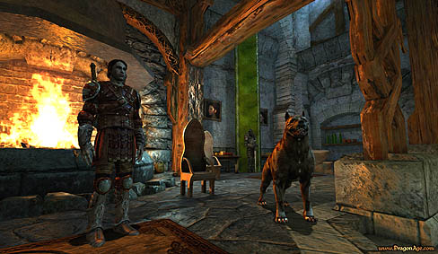 画像ギャラリー No.001のサムネイル画像 / BioWare，「Dragon Age：Origins」にはオンライン認証システムを採用せず