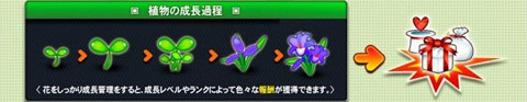 画像ギャラリー No.003のサムネイル画像 / 「X-BEAT」,「カップルガーデン」を実装。2人で協力して植物を育てよう