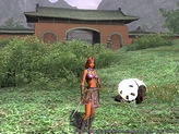 画像ギャラリー No.009のサムネイル画像 / 第2次プレオープン直前のMMORPG「三國志 Online」,プレス先行試遊会で体験できた新しい要素を紹介