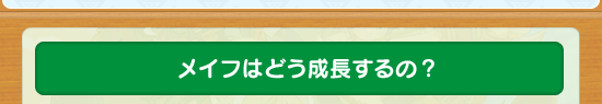 メイフはどう成長するの？