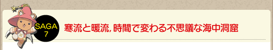 寒流と暖流，時間で変わる不思議な海中洞窟