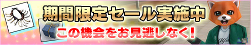 画像ギャラリー No.001のサムネイル画像 / 「RAN ONLINE」，「＋7」に強化された「（P）武器」の期間限定セール実施