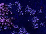 画像ギャラリー No.003のサムネイル画像 / レベル200の強敵が押し寄せてくる「混沌の洞窟」が,「ルニア戦記に」
