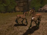 画像ギャラリー No.008のサムネイル画像 / 新感覚MMORPG「スペルボーン」のクローズドβテスト参加者募集は，9月14日開始