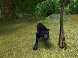 画像ギャラリー No.011のサムネイル画像 / 新感覚MMORPG「スペルボーン」のクローズドβテスト参加者募集は，9月14日開始