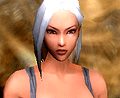 エキサイト，オランダ生まれのMMORPG「スペルボーン」のオープンβテストを2009年12月4日からスタート。併せてキャンペーン情報などを発表