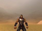 画像ギャラリー No.031のサムネイル画像 / 主題歌はTOUGH BOY! MMORPG「北斗の拳ONLINE」のプレスカンファレンスで,正式サービス以降の展開が発表