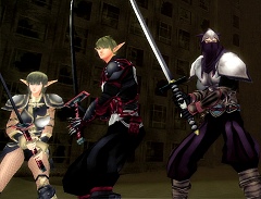 画像ギャラリー No.015のサムネイル画像 / 「BASTARD!! -ONLINE-」インタビュー,グラフィックスは全面改訂? 2009年公開に向けた新たな動きを探る
