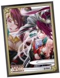 画像ギャラリー No.012のサムネイル画像 / セガ,「三国志大戦スペシャルイベント 秋葉原の宴」を5月19日に実施