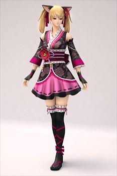 画像ギャラリー No.005のサムネイル画像 / 「サドンアタック」,不正ツール防止プログラム「NGS」を導入