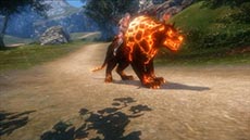 画像ギャラリー No.009のサムネイル画像 / 「ICARUS ONLINE」，フェロー騎乗時に使用できる専用武器と，フェローをペット化するシステムが公開に