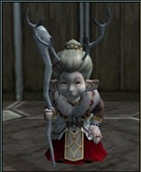 画像ギャラリー No.014のサムネイル画像 / MMORPG「ラストカオス」,新種族「ナイトシャドウ」を含む大型アップデート「エクステンションパック2」を2010年2月18日に実装!