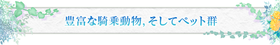豊富な騎乗動物，そしてペット群