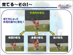 画像ギャラリー No.008のサムネイル画像 / 1年間の休止/再開発の結果,“後継作”としての登場が決定! 「モンスターファーム ラグーン」説明会レポート