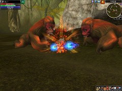 画像ギャラリー No.003のサムネイル画像 / わずか3人で開発したMMORPG「Nida Online」(邦題 Dark Arena),日本での再ローンチを目指し準備中。ムービー2本をUp