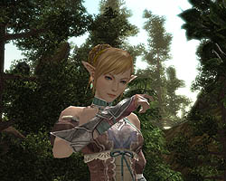 画像ギャラリー No.004のサムネイル画像 / NHN Japan，ギルドの成長が重要なMMORPG「R2 -Reign of Revolution」の日本国内独占提供契約締結を発表