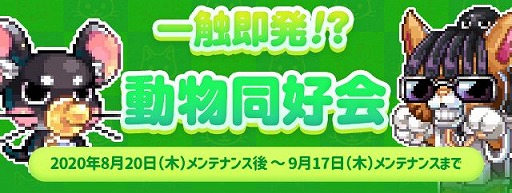 画像ギャラリー No.004のサムネイル画像 / 「トキメキファンタジー ラテール」,決闘場をリニューアルするアップデートが実装