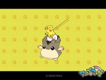 画像ギャラリー No.002のサムネイル画像 / 「アミーゴ・アミーガ」お正月イベント開催,年越しカウントダウンも