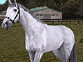 最強馬を生みだせ！　「Gallop Racer ONLINE」に生産システムが実装
