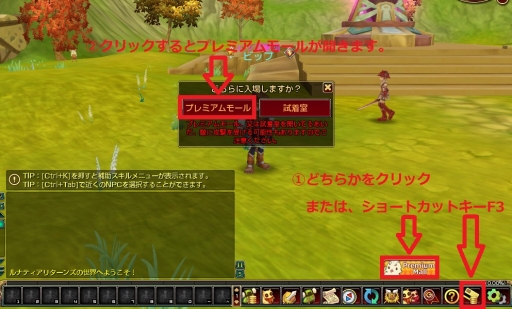 画像ギャラリー No.004のサムネイル画像 / 「ルナティア」,OBT期間中に不具合を見つけると抽選でリオコインをプレゼント