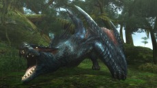 画像ギャラリー No.005のサムネイル画像 / 迅竜ナルガクルガが4月27日に狩猟解禁。「モンスターハンターフロンティアG」大型アップデート「G10」の追加情報を公開